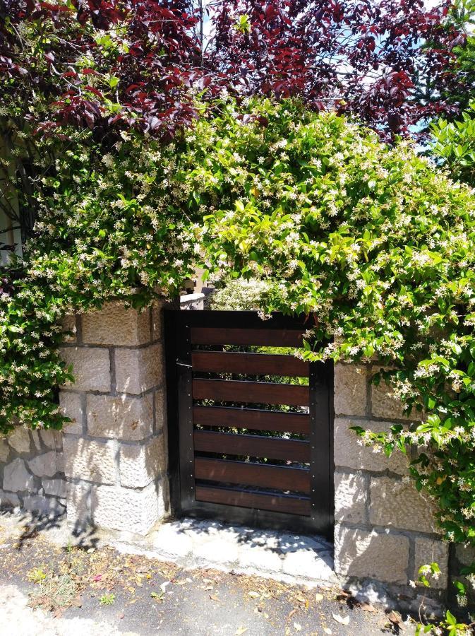 Dryas Guesthouse Polydrossos Bagian luar foto